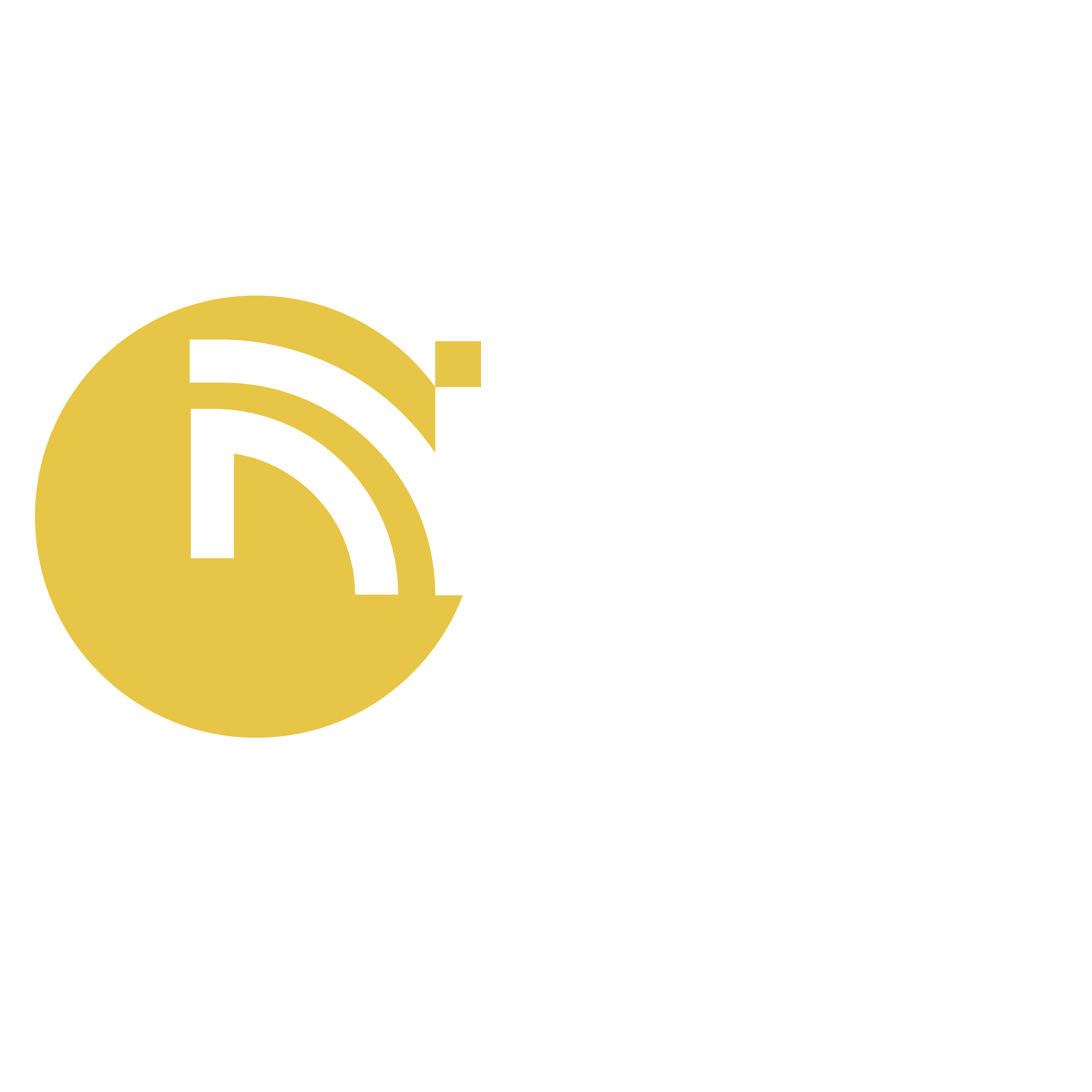 LOGO NEW IMPIANTISTICA